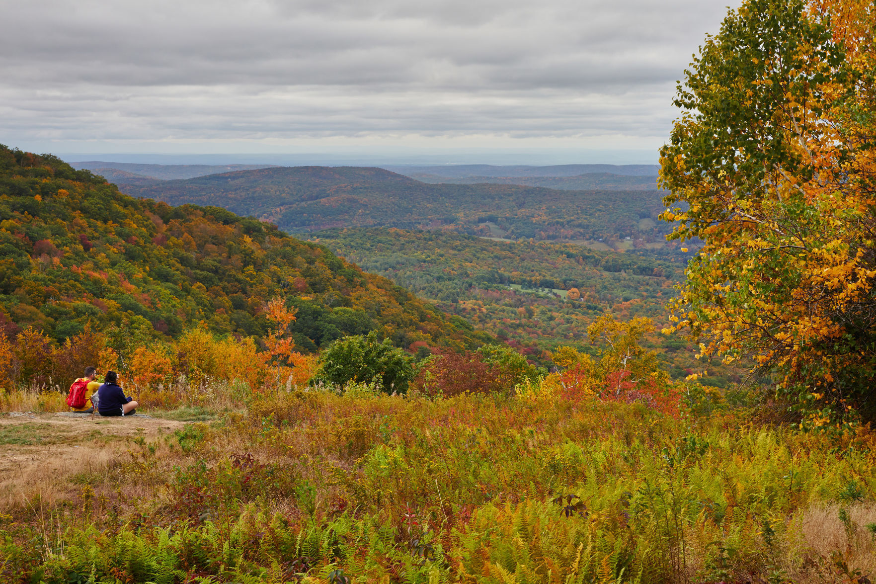 FALL COLORS TOUR 1